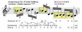 The Goldberg Variations Analysis
